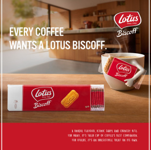 ���l�����r�M��Lotus�����_���r�����312.5g*6��ϲ�c��c�Y��