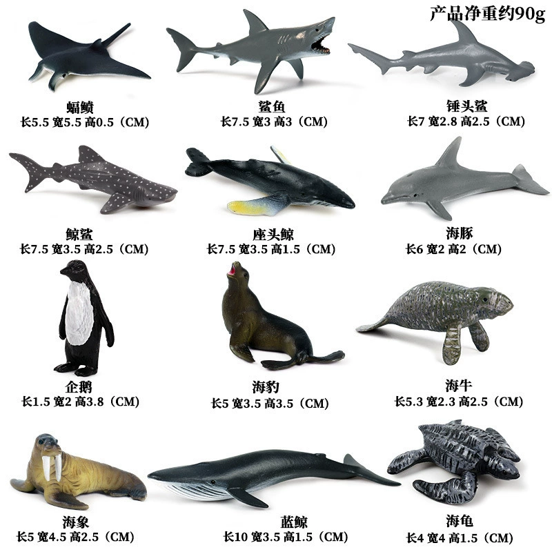 Cognitive realistic marine animal model, dinosaur, toy