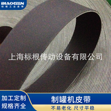 ƹޙCƤ Һݔ͎ MVPBELT HAT-20P HAT-30P