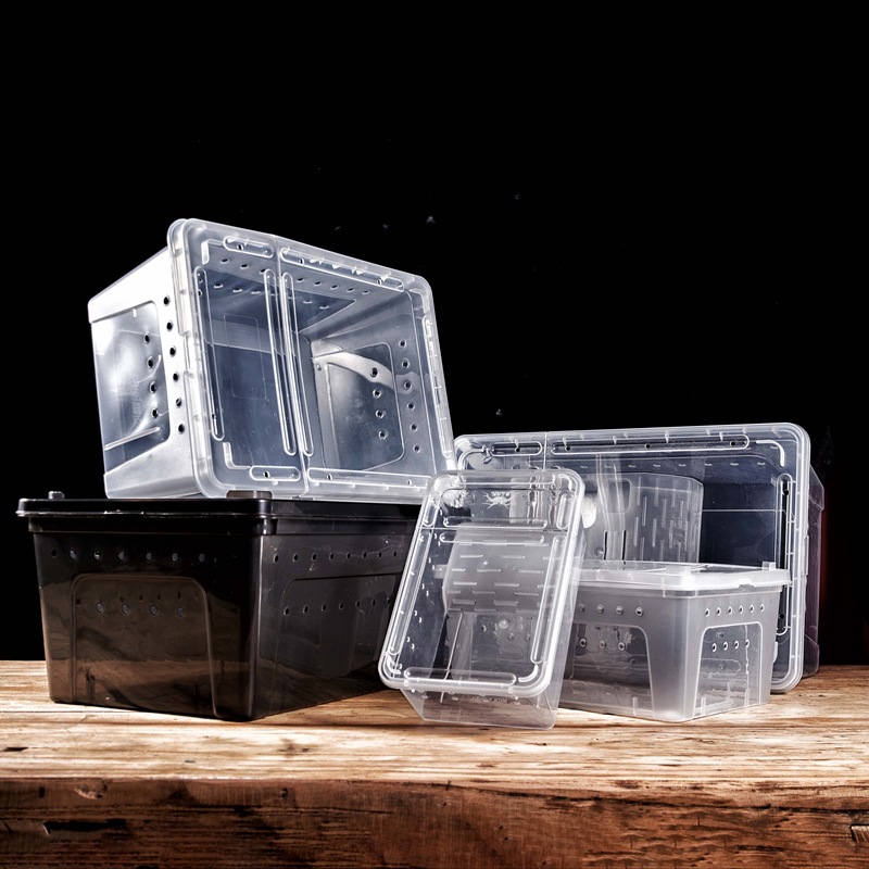 爬虫箱盒蜘蛛蜈蚣蝎子角蛙蜥蜴活体龟苗昆虫小号饲养盒黑白色包邮