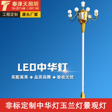 户外LED6米8米园林景观灯 民族风文化广场路灯市政大型12米中华灯