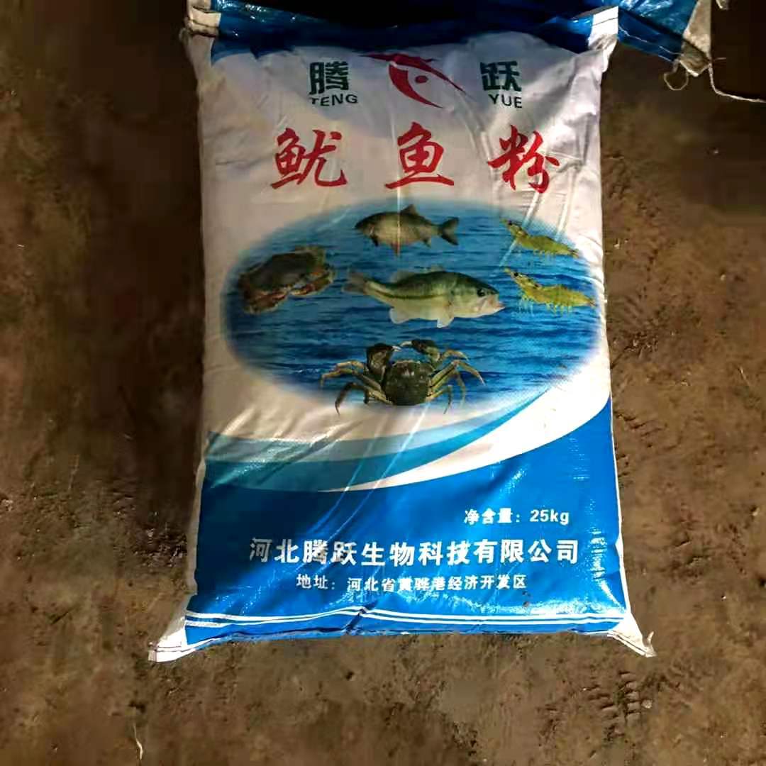 厂家批发水产饲料级膨化鱿鱼粉乌贼粉腥味浓幼 食好腥香打窝垂钓