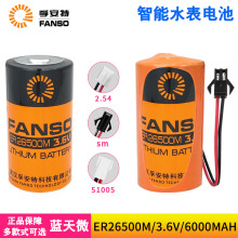 FANSO�ڰ���ER26500M����ˮ��ȼ����������2��C��3.6V﮵��LSH14