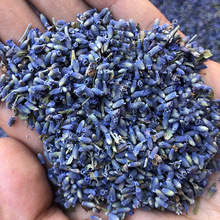5A级法国蓝嫩花粒批发新疆真花伊犁薰衣草干花香包天然花朵风干