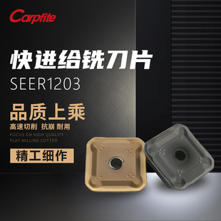 SEER1203AFTN1 ���M�o㊵�Ƭ ���T㊵�Ƭ 䓼�  ���P�  �T�Fͨ��