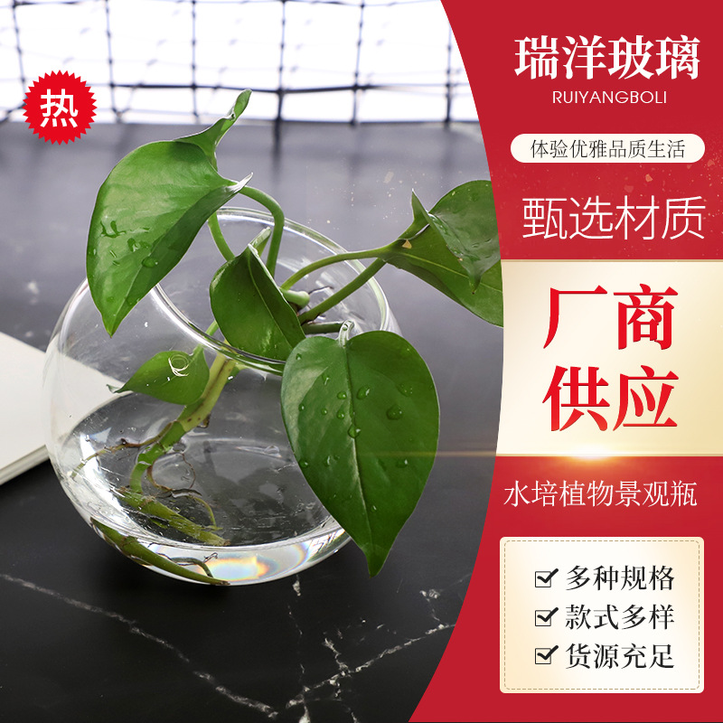 Transparent glass creative resin decor