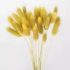 Dark yellow