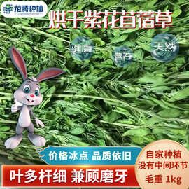 2026烘干紫花苜蓿草 兔子龙猫荷兰猪宠物粮食 紫花苜蓿牧草1kg箱