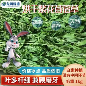 黄骅市龙腾种植专业合作社