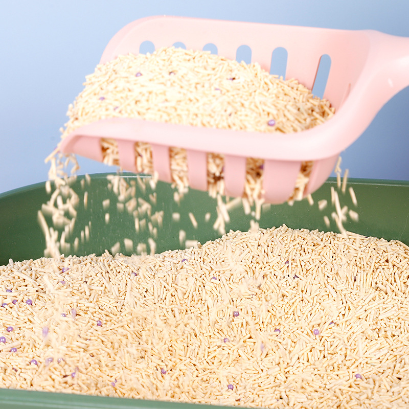 Pala grande para arena de gatos con mango extendido, diseño de cara de gato, herramienta especial de limpieza para caja de arena, pala para arena de mascotas.