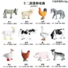 KZ poultry animal 12 models