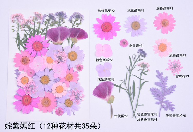 다채로운 꽃 (꽃 12 종, 합계 35 꽃)