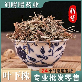 批发无硫中药材 叶下株 珍珠草 散装大货 资质齐全 可开发票