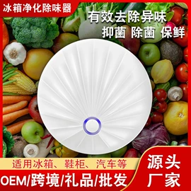 其他按摩器材;卷发/直发器;冰箱净化器