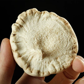 鹿产品;参类滋补品;汽车清洁工具