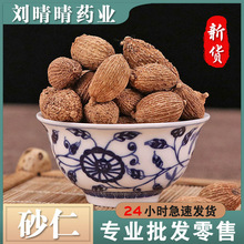 批发无硫中药材 砂仁 阳春砂仁 贡砂仁 支持药检 一件代发货