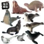 实心生物认知跨境模型