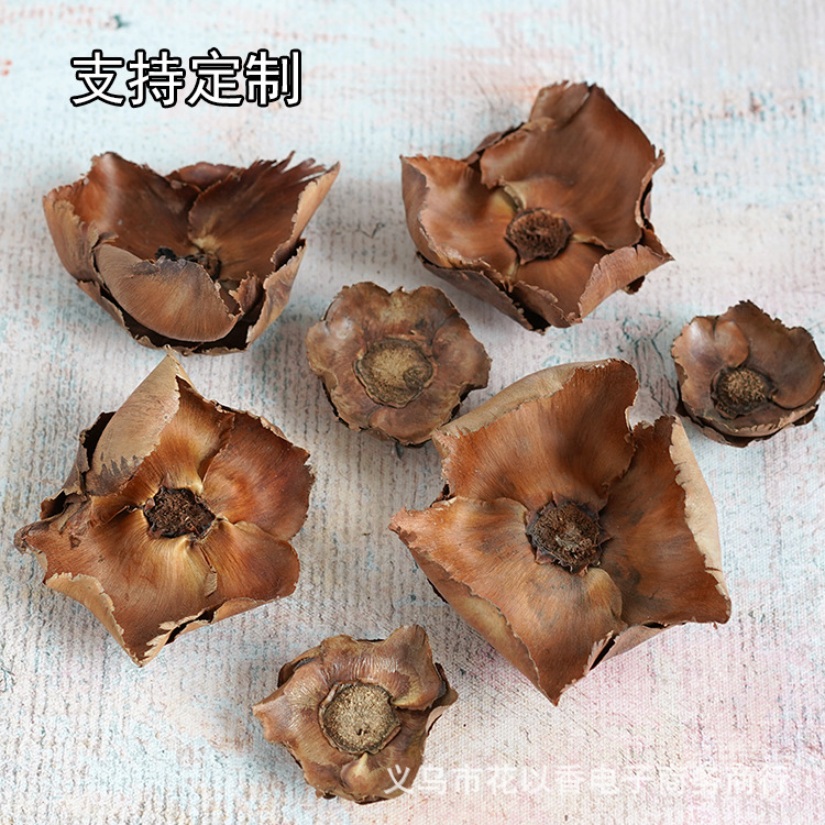 椰子花 天然真花艺术干花手工diy花环配材圣诞民宿装饰桌面摆件