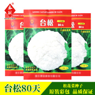 ��Ҭ�˷N��̨��80��10����ɢ�˻����� �����͟� ����e�߲˷N��