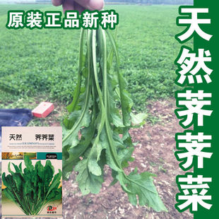 �j�j�˷N���j�j����Ұ�˷N���߲˷N�Ӳ˷N���Ѳ˷N��