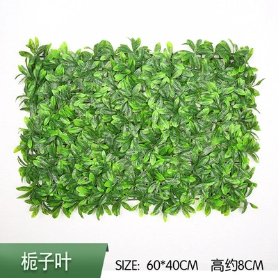 Gardenia