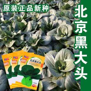 �Ͳ˷N���Ͳ����uë�˷N���߲˷N�Ӳ���С��˷N���＾�N�̨�N��