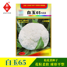白玉65松花菜种子 10g 秋季耐热花椰菜 早中熟青梗菜花 蔬菜种籽