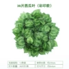 Color printed 36 large leaf watermelon (12 packages)