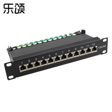 10Ӣ�� 12�� �����CAT6A ��ͥʽ�����ǧ�׾W�jȫ�����侀��