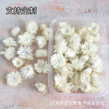 ����ѩɏ�����^���M����Ȼ�ɻ��滨diy�ֹ�����������ʯ���h���