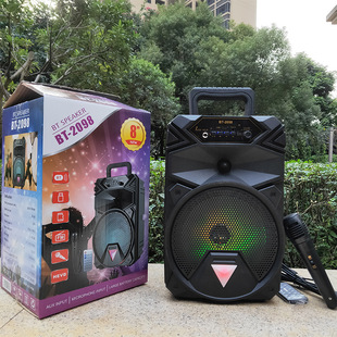 Handheld speakers, 8 inch, bluetooth, high power