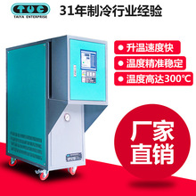 台亚模温机生产厂家 9KW 模具运油式模温机 高品质油温机品牌定制