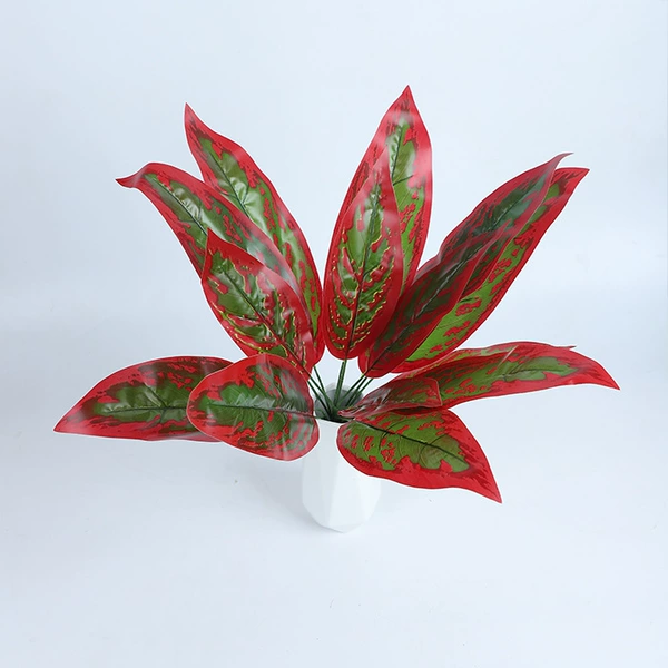 Red magnificent leaf
