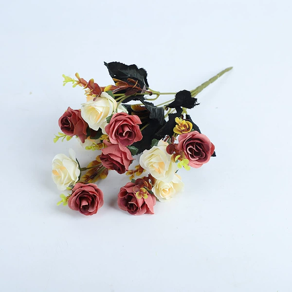 Yellow red double -colored rose