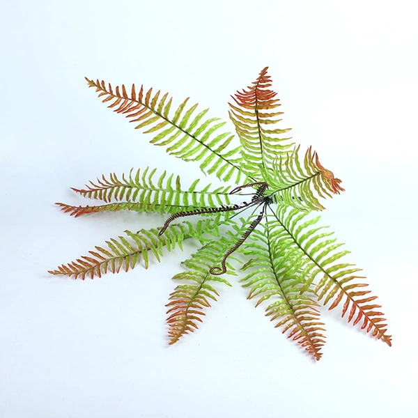 Red fern grass