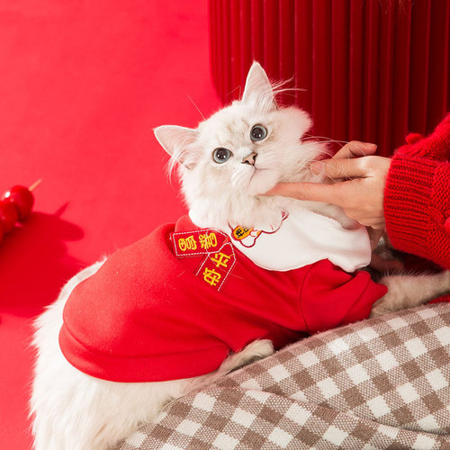 Pet Clothes Puppy New Year Sweater Autumn Corgi Bichon Small Dog Cat Biped Clothes Autumn Winter Clothes Wholesale