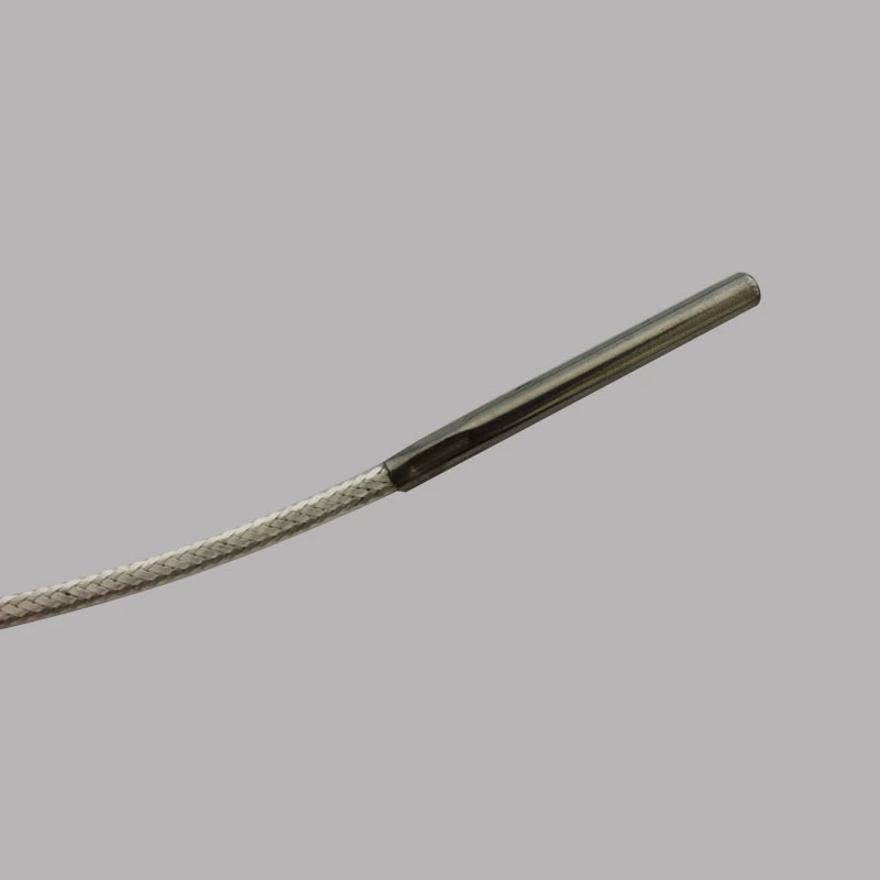 Очистите инвентарь специальной фабрики прямой продажи pt100 термический датчик температуры зонд