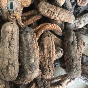 ���l����С�u������ڳ�����A���l����13�^��ຣ����؛���l