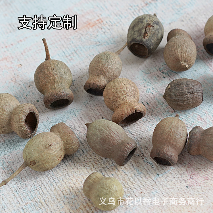 【进口大号僵尸果】天然干果干花diy手工花环花材包标本相框配材