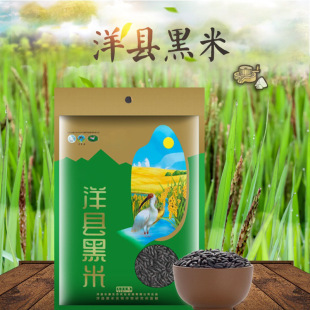 ���׺�Ŵ����h����500��