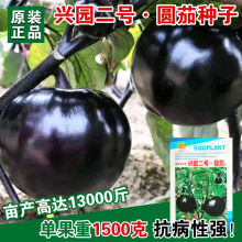 �A�ѷN�������Ѵ����߲˷N�Ӳ˷N���ѷN�����l