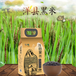 ��h���׉ێ��B�ƺ����׏S�r���l2.5kg/��