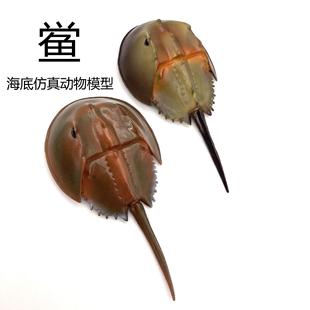 �羳���挍�ĺ��󺣵ׄ����c�����c�����c�R��з��ͯ���ģ�����k