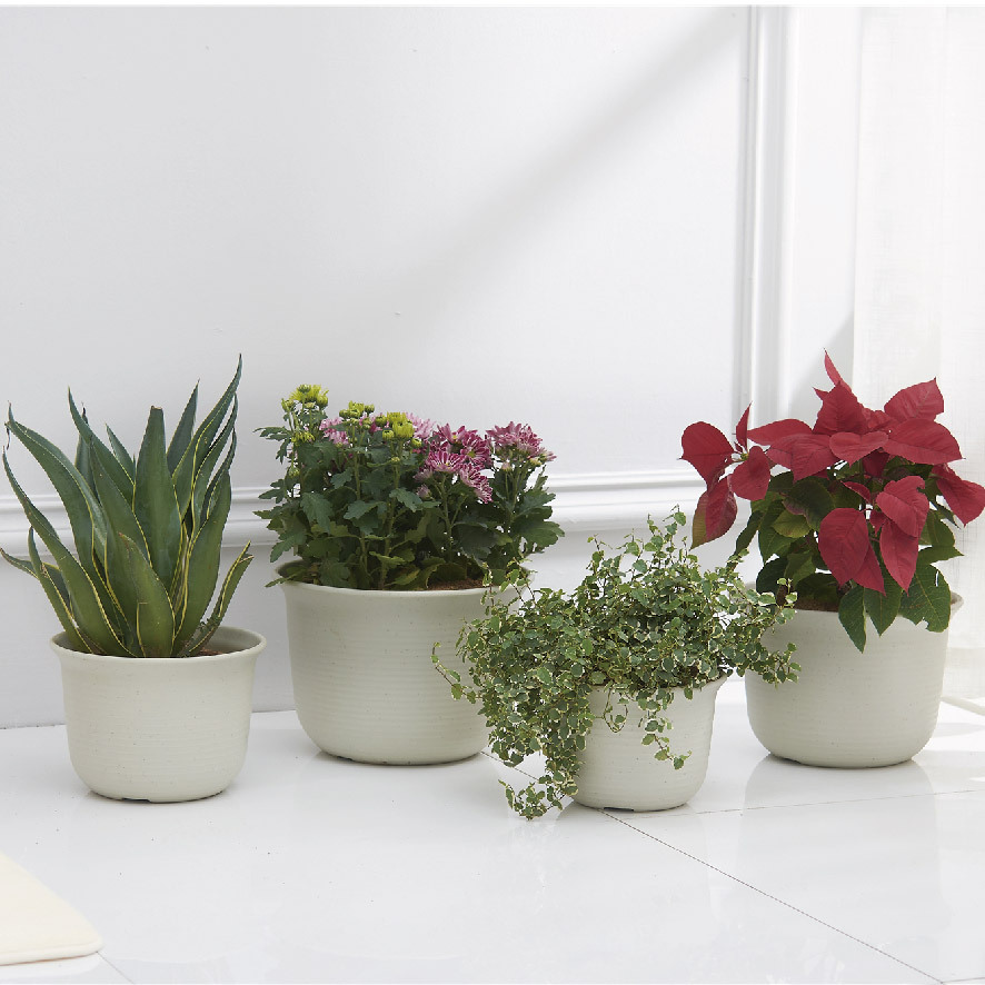 macetas de plástico engrosadas resina transpirable balcón interior nórdico simple y linda trompeta horticultura transpirable engrosado