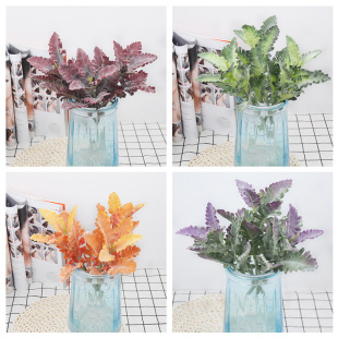 ���滨ֲ�q�y�N�~ �ٻ��Gֲ�~�Ӳ廨����҃ȼҾ��Ʒ�����y�~��