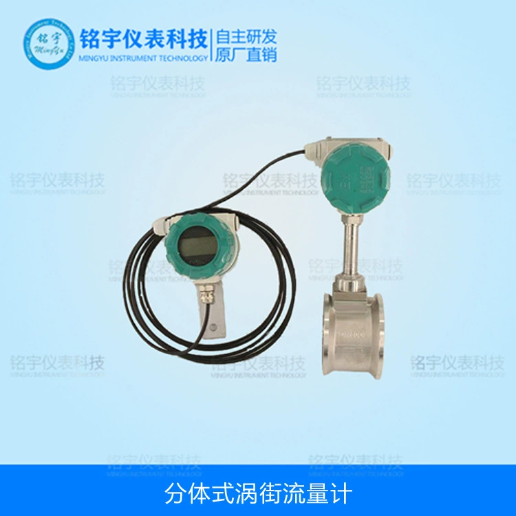 отделяет уличный расходомер сжатого воздуха, жидкого пары, разделенный расходомер газа, производитель компенсации температуры и давления