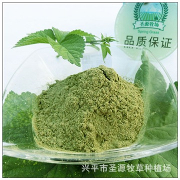 보리잎분말 500g