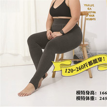 批发女冬季棉羊绒加肥加大东北打底裤欧美特厚大码保暖加厚一体裤