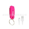 Y06 charging gift key light light lock buckle mini LED keychain pet lamp pet lamp Y06