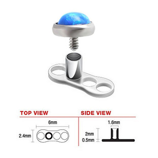 ����肰Č���ᔲ���ɫ���ֲƤ��i��ᔂ���Ƥ�wᔂ�����ʯ�i���